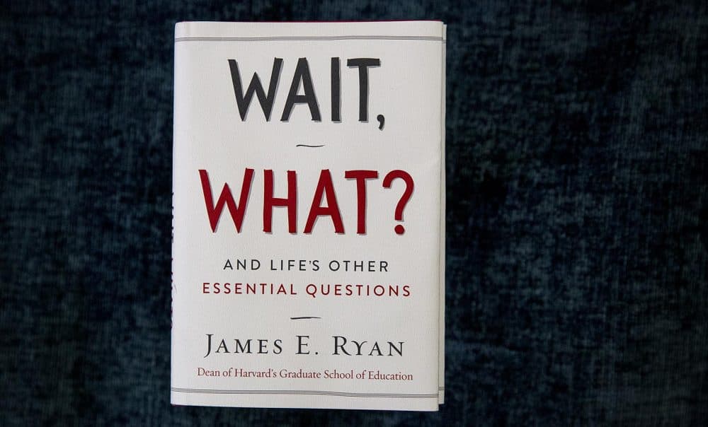 James Ryan's &quot;Wait, What?&quot; (Robin Lubbock/WBUR)