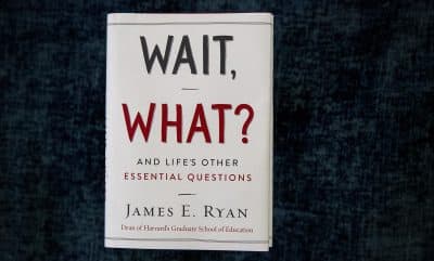 James Ryan's &quot;Wait, What?&quot; (Robin Lubbock/WBUR)