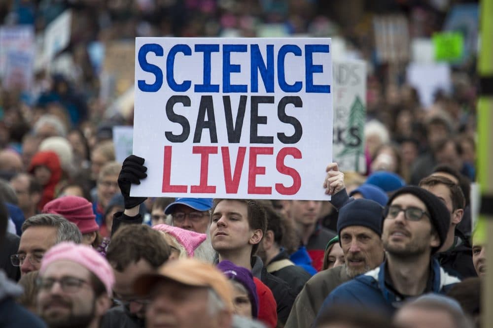Thousands gathered on Boston Common Saturday for the March For Science. (Jesse Costa/WBUR)