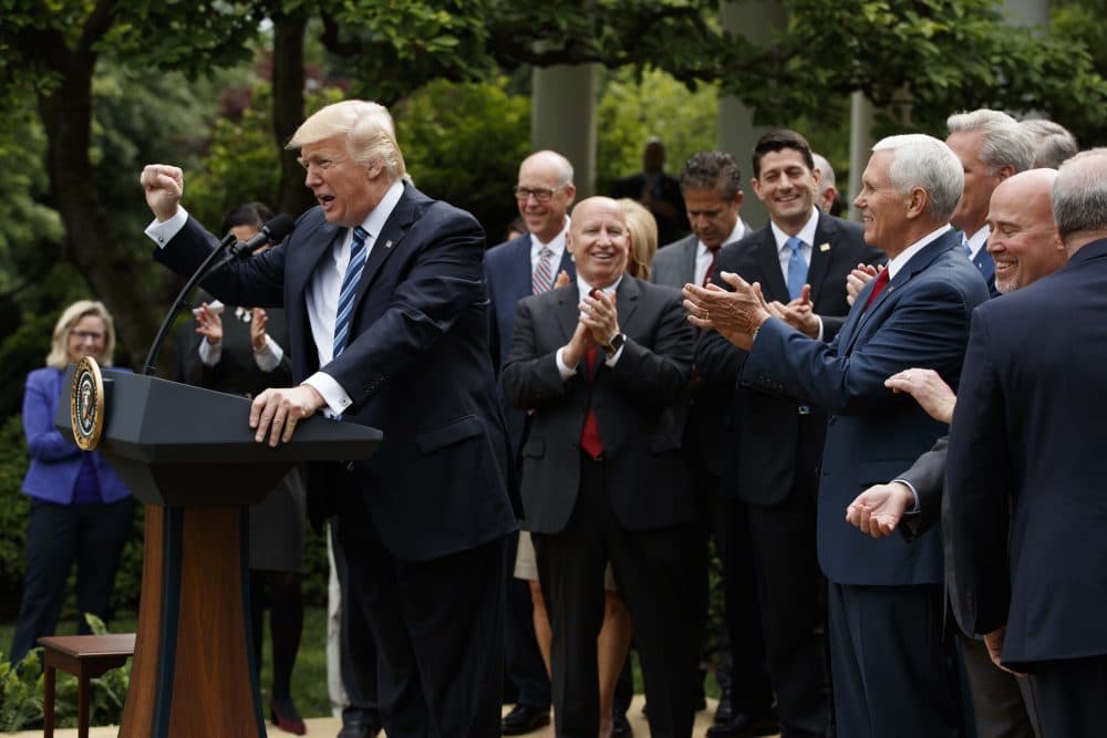 President Donald Trump, accompanied by GOP House members, speaks after the House pushed through a health care bill, in the Rose Garden of the White House on Thursday in Washington. (Evan Vucci/AP)