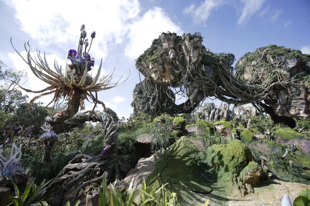 Landscaping consisting of real Earth plant species mixed with sculpted Pandora artificial flora surrounds the walkways at the World of Avatar attraction in Disney's Animal Kingdom theme park at Walt Disney World in Lake Buena Vista, Fla., in April. (John Raoux/AP)