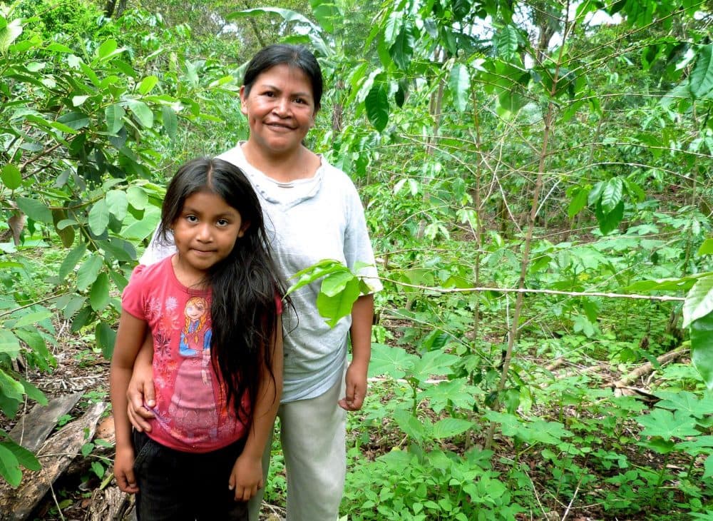 Struggling Honduran Farmers Cope With Climate Challenges Here & Now