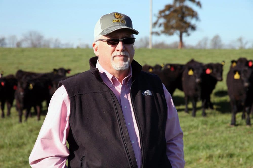 Cattle rancher Mike John runs a cow-calf operation in Huntsville, Mo., and hopes international trade will open up new markets for his beef. (Kristofor Husted/Harvest Public Media)