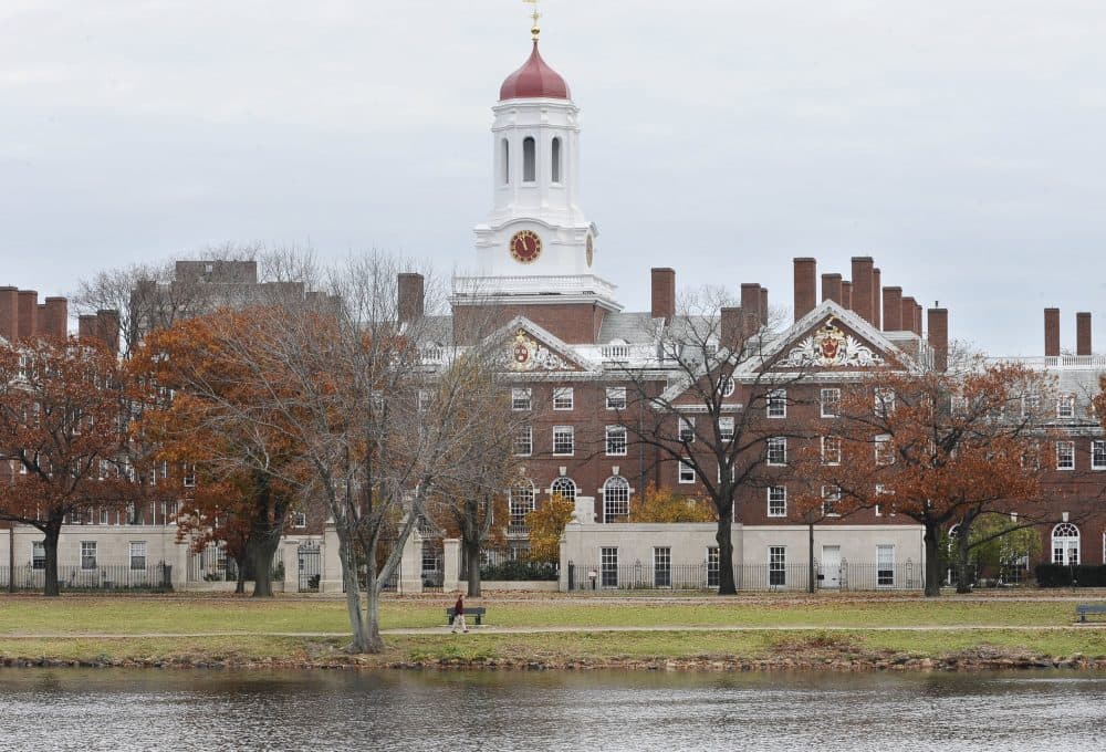 Harvard University campus in Cambridge. (Lisa Poole/AP)