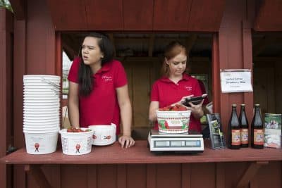In this Tuesday, May 23, 2017, photo, Hannah Waring, left, a student at Loudoun Valley High School, and Abby McDonough, a student at Liberty University, work in the strawberry stand at Wegmeyer Farms in Hamilton, Va. (Carolyn Kaster/AP)