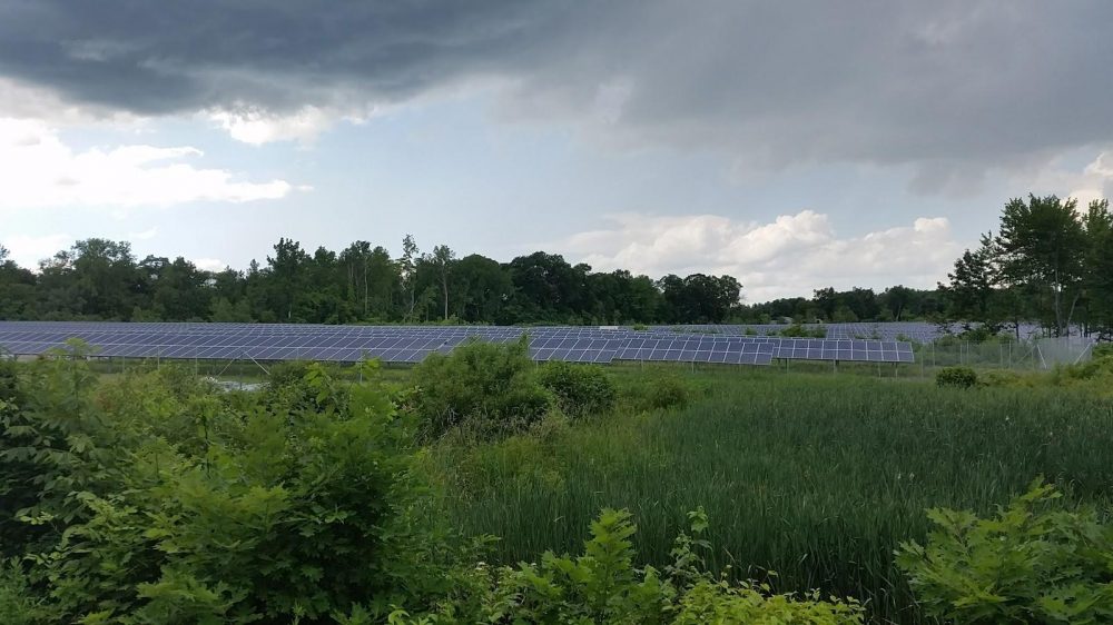 Kevin Sullivan put solar panels on a portion of his 60 acres of property in Suffield, Connecticut. (Patrick Skahill/WNPR)