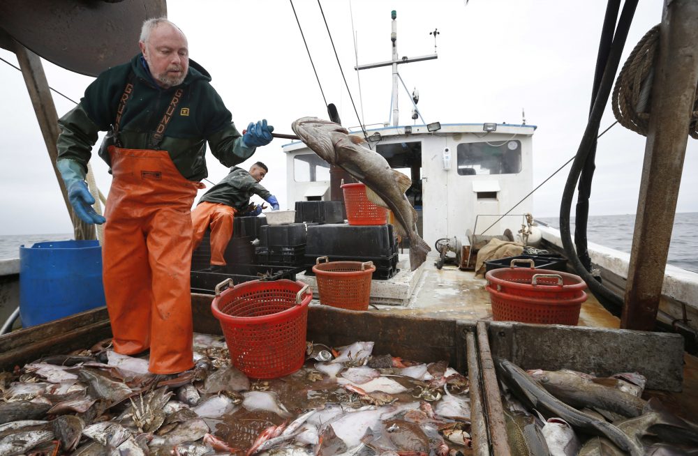 &quot;It's driving people off the water,&quot; New Hampshire fisherman David Goethel said. &quot;Fishermen are really angry. Every day I get calls from people on the water thanking me for keeping this up.&quot; (AP Photo/Robert F. Bukaty)