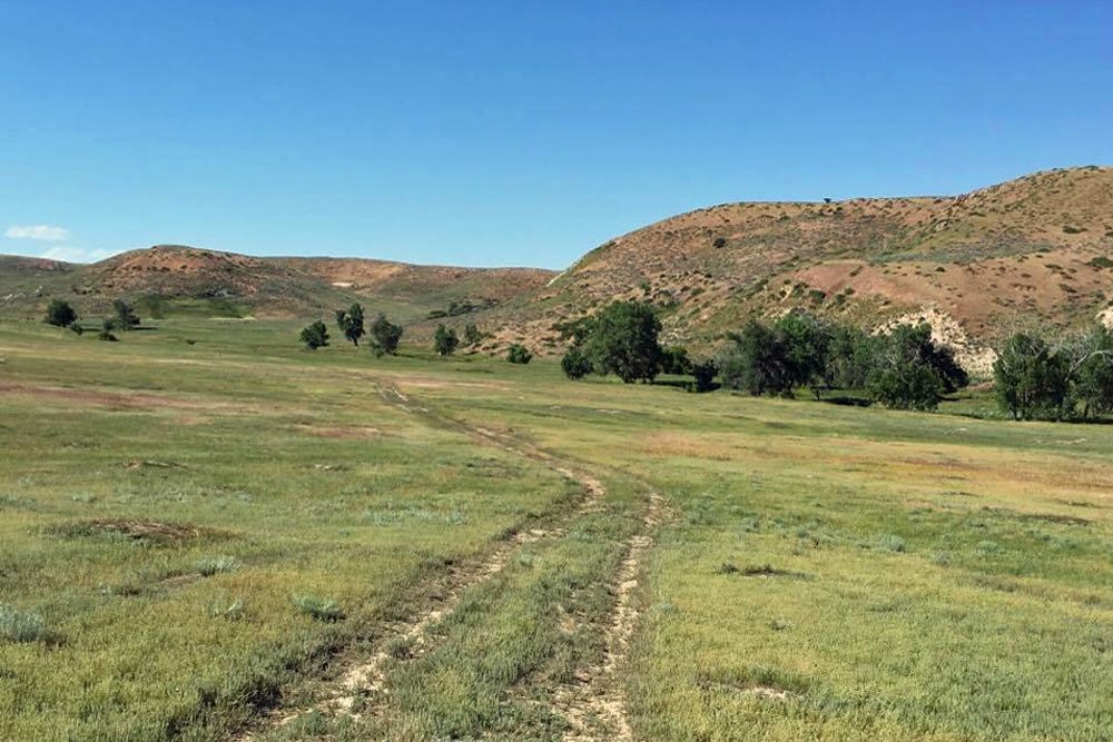 Part of the land where the proposed Brook Mine may be dug. (Cooper McKim/Wyoming Public Radio)