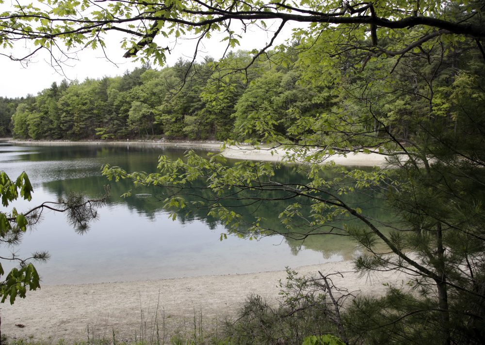 A view of Walden Pond after the dedication of the U.S. Postal Service's new Henry David Thoreau postage stamp in May. (Elise Amendola/AP)