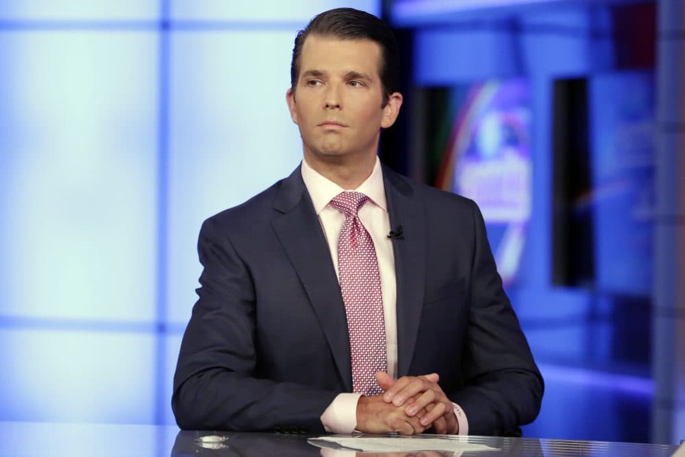 Donald Trump Jr. is interviewed by host Sean Hannity on his Fox News Channel television program, in New York Tuesday, July 11, 2017. (Richard Drew/AP)