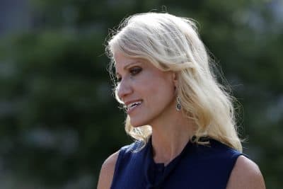 Counselor to the President Kellyanne Conway speaks with a reporter at the White House, Monday, July 10, 2017, in Washington. (Alex Brandon/AP)