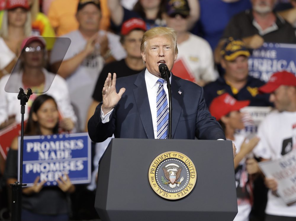 President Trump speaks during a rally Thursday, Aug. 3, 2017, in Huntington, W.Va. (Darron Cummings/AP)