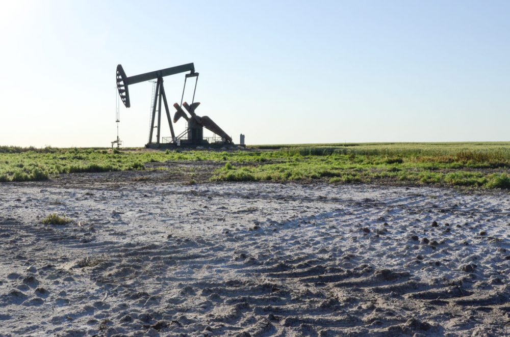 Salty wastewater from pumpjacks like this one near Glenburn, North Dakota, used to be dumped into pits on farmers' land. Over the years, the brine seeped into the surrounding fields. The resulting contamination continues to expand decades later. (Amy Sisk/Inside Energy)