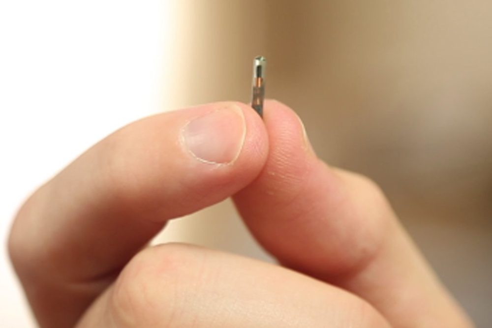 About 50 of Wisconsin technology company Three Square Market's 80 workers signed up and got their grain-sized implant on Aug. 1. (Courtesy Three Square Market)