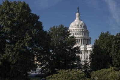 The Capitol is seen in Washington, Monday, July 31, 2017. (J. Scott Applewhite/AP)