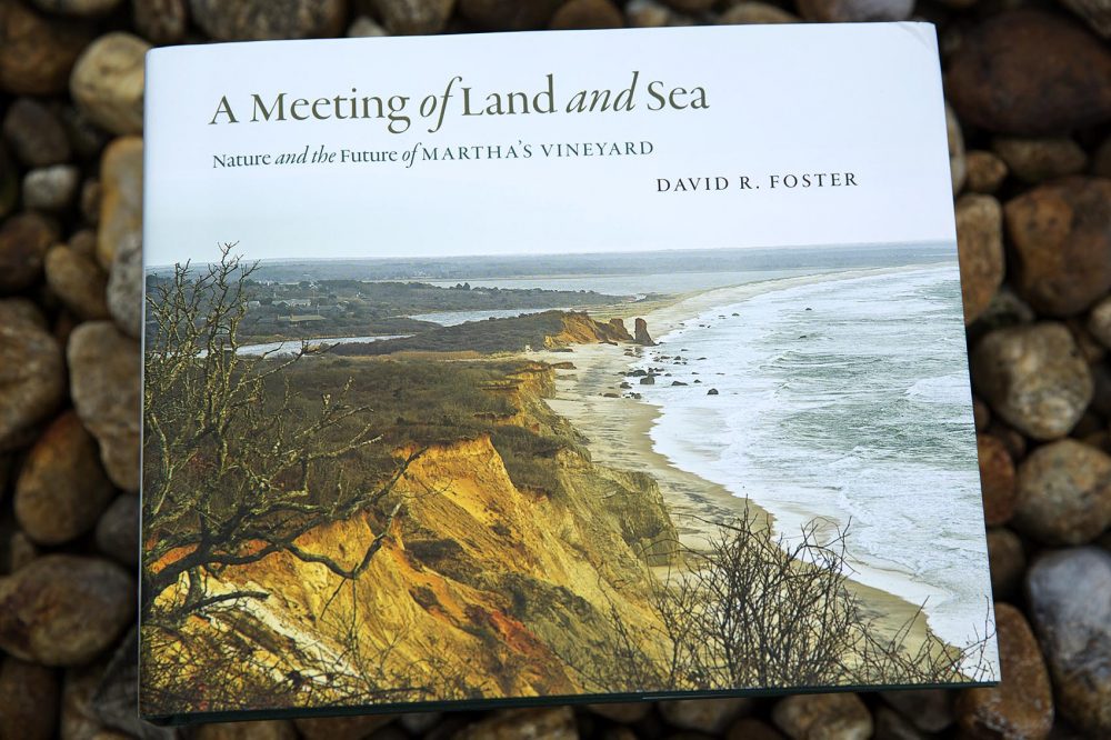 A Meeting Of Land And Sea, by David R. Foster. (Robin Lubbock/WBUR)