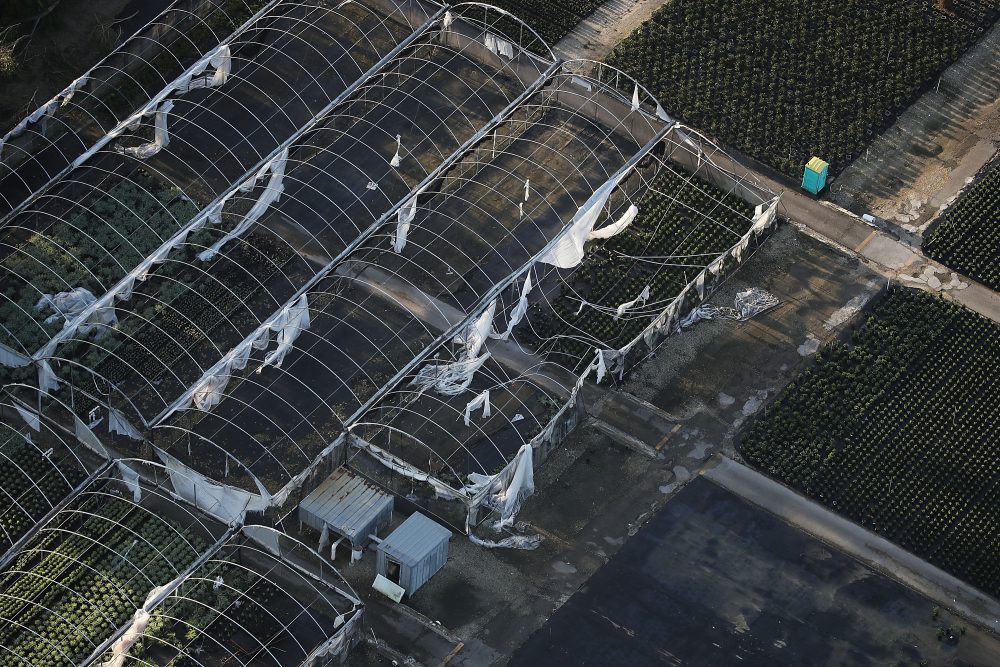 Damaged greenhouses in an agricultural area are seen after Hurricane Irma passed through the area on Sept. 13, 2017, in Homestead, Fla. (Joe Raedle/Getty Images)