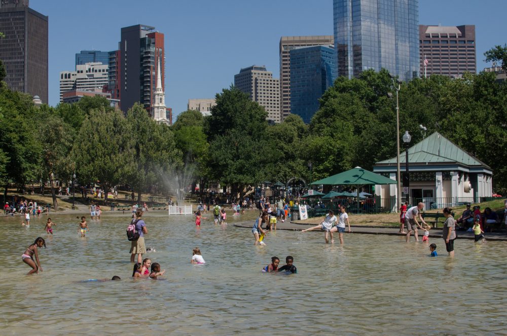 The Frog Pond in the Boston Common, as seen in the summer of 2016. (Sharon Brody/WBUR)