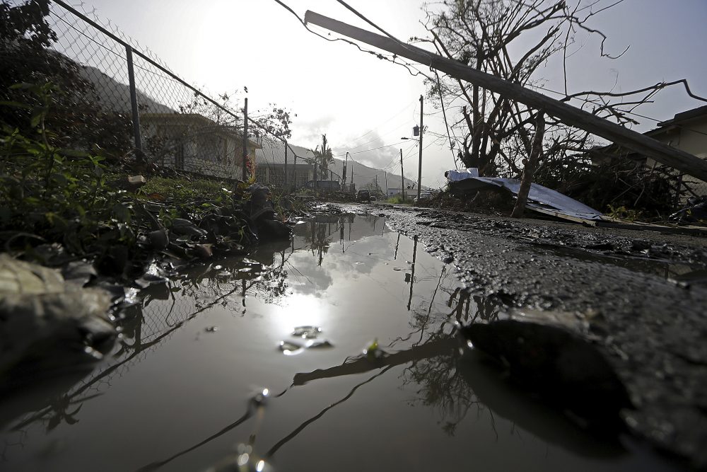 Downed power lines and debris are seen in the aftermath of Hurricane Maria in Yabucoa, Puerto Rico, on Tuesday. (Gerald Herbert/AP)