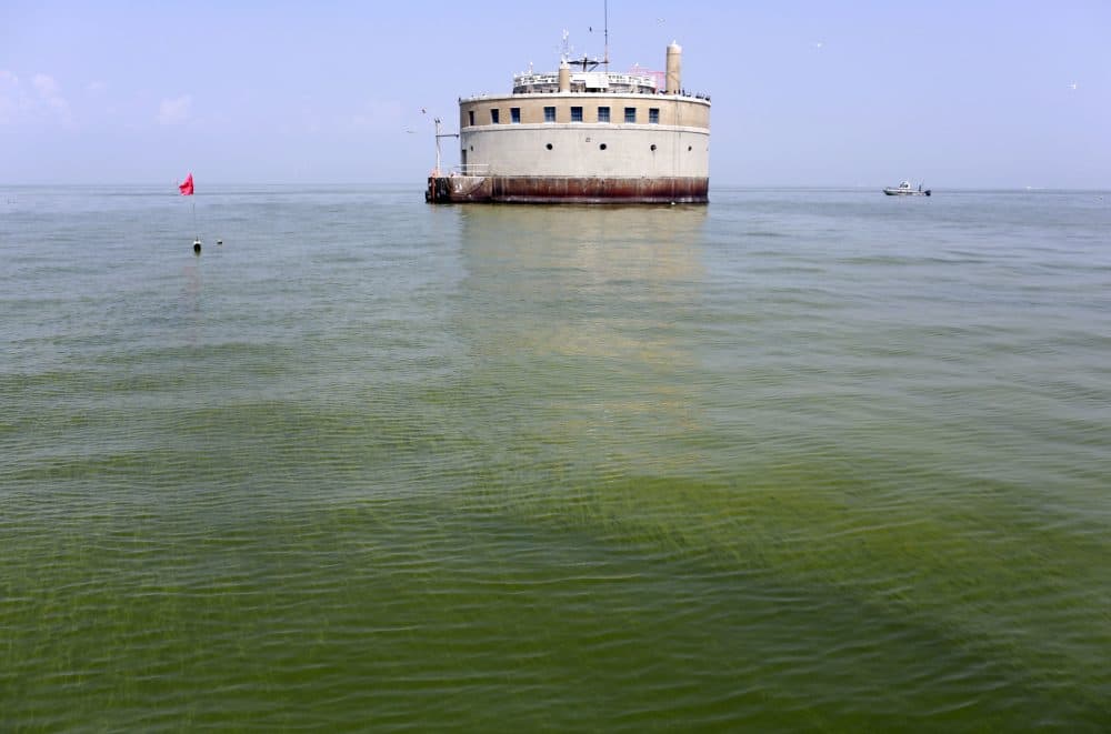 In this Aug. 3, 2014 file photo, the City of Toledo water intake crib is surrounded by algae in Lake Erie, off the shore of Curtice, Ohio. (Haraz N. Ghanbari/AP)