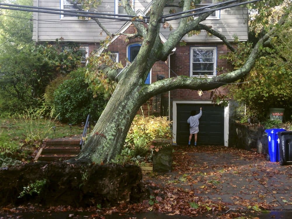 A toppled tree leans onto a power line after an overnight storm Monday in Brookline, Mass. (Alanna Durkin Richer/AP)