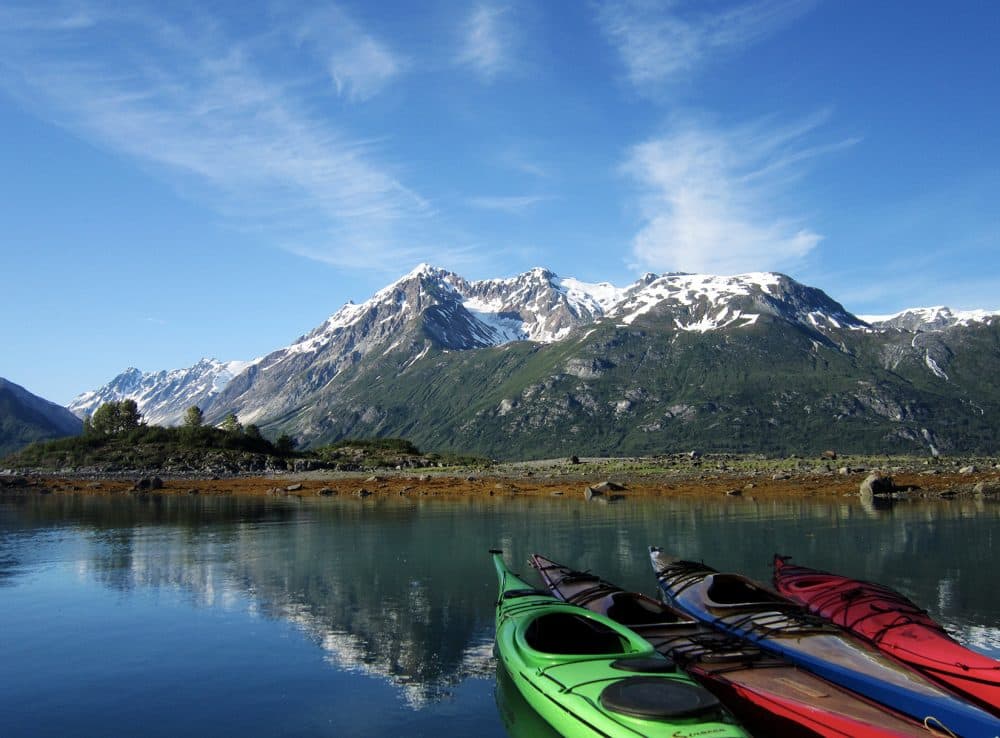 Glacier Bay National Park and Preserve. (Courtesy Brian Buma/University of Alaska Southeast)
