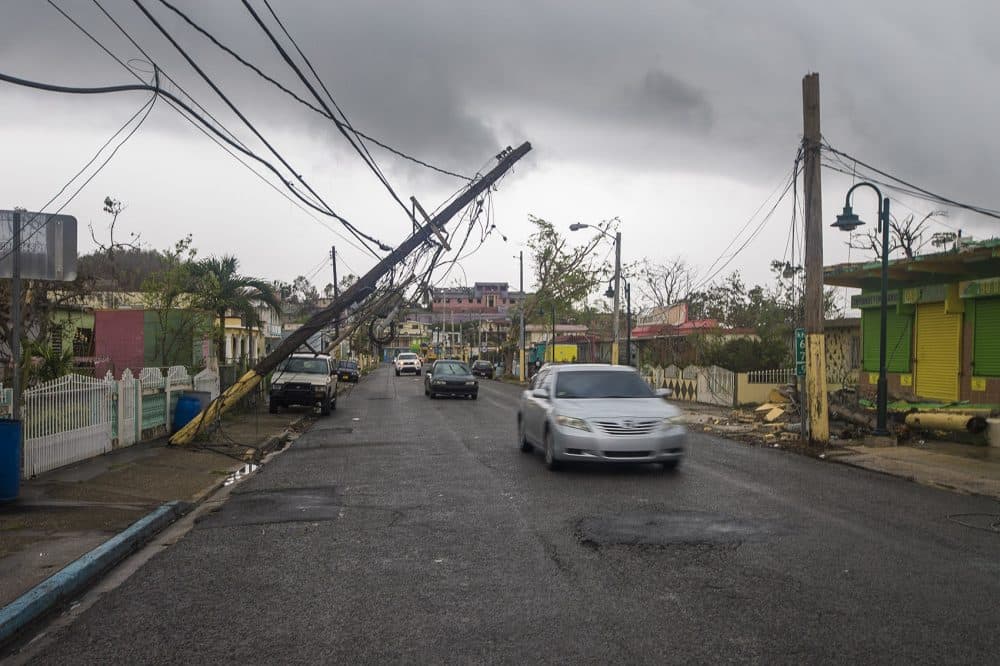 Downed powerlines along a main street in Barcenoleta, in early October (Jesse Costa/WBUR)