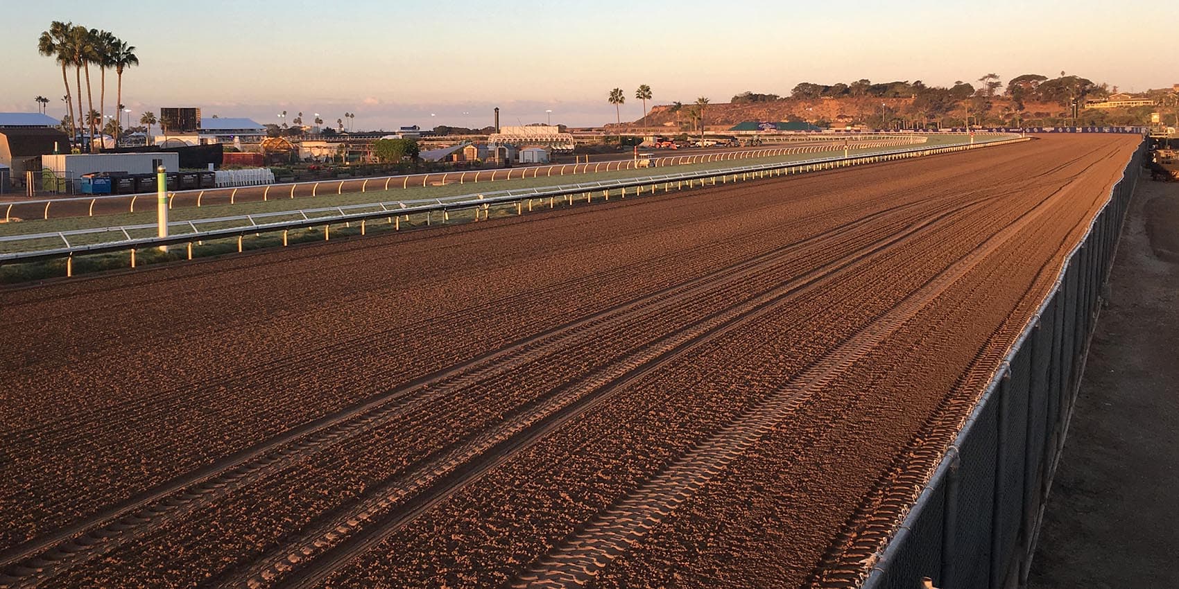 The Del Mar racetrack in Del Mar, Calif., where the 34th Breeders' Cup was held. (Alex Ashlock/Here & Now)