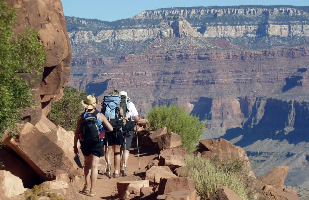 The Grand Canyon's South Kaibob Trail warns hikers to prepare themselves with plenty of water, but for one brave soul, a cup of coffee was enough. (Carson Walker/AP Photo/)