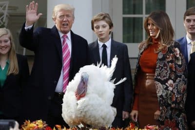 Drumstick the turkey is pardoned by President Donald Trump, left, during an annual presidential tradition attended by his son Barron Trump, and first lady Melania Trump, Tuesday, Nov. 21, 2017, in the Rose Garden of the White House in Washington. (Jacquelyn Martin/AP)