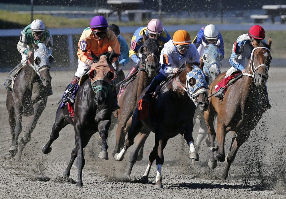 Horses take a turn during a race at Suffolk Downs in Boston, Monday, Sept. 22, 2014. (Elise Amendola/AP)