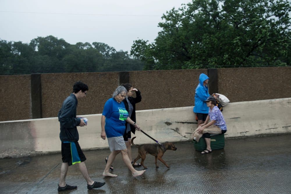 Evacuation residents from the Meyerland area walk onto an I-610 overpass for further help during the aftermath of Hurricane Harvey, Aug. 27, 2017 in Houston, Texas. (Brendan Smialowski/AFP/Getty Images)
