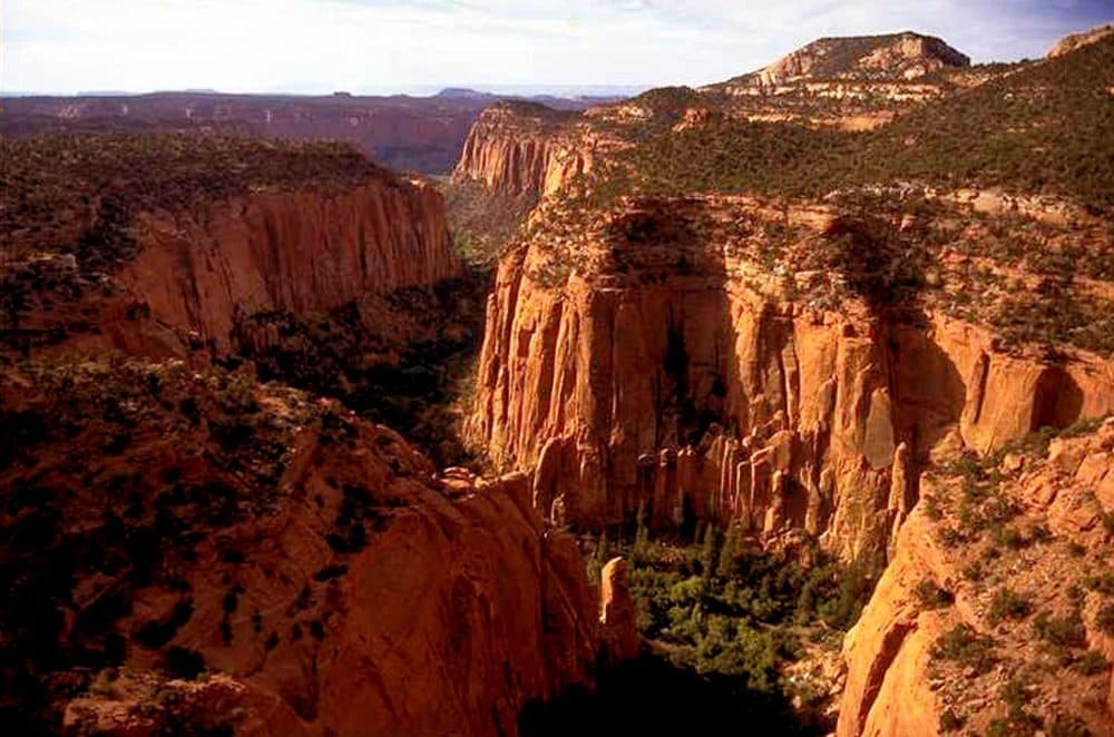 The Upper Gulch section of the Escalante Canyons within Utah's Grand Staircase-Escalante National Monument is shown. Outdoor clothing giant Patagonia and other retailers have jumped into a legal and political battle over President Trump's plan to shrink two sprawling Utah national monuments, a fight that would scare off most companies but buoys customers of outdoor brands that value environmental activism. (Douglas C. Pizac/AP)