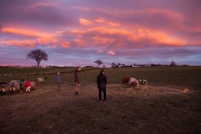 Sine Christiansen, center, with her family on their farm in Denmark (Photo by Rachael Cerrotti)