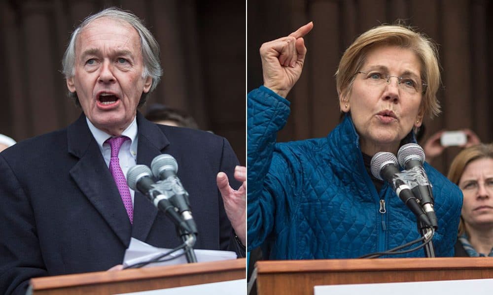 Sens. Ed Markey and Elizabeth Warren voted against advancing a three-week spending bill to end the partial federal government shutdown. (Jesse Costa/WBUR)