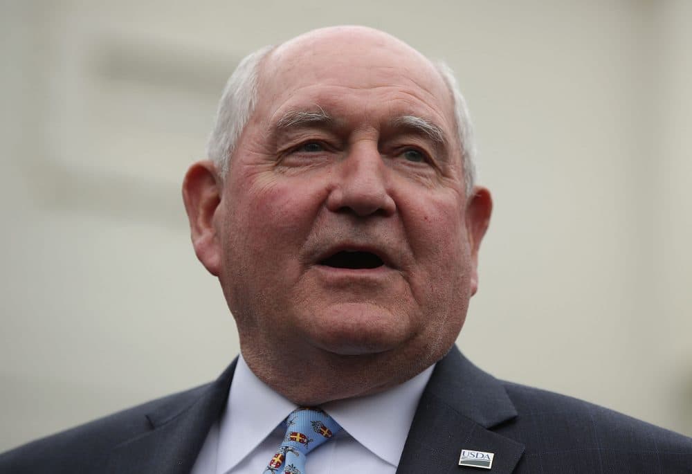 Agriculture Secretary Sonny Perdue speaks to members of the media outside the West Wing of the White House after a Roosevelt Room event April 25, 2017 in Washington, D.C. (Alex Wong/Getty Images)
