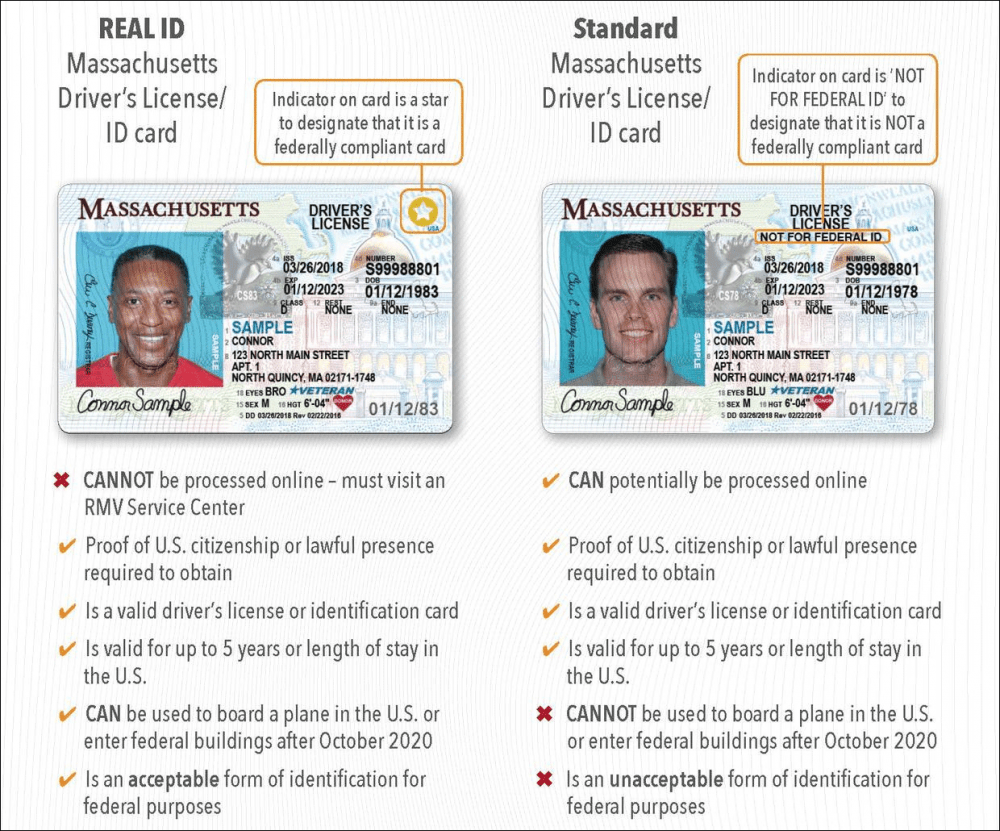 A comparison of a standard license and a REAL ID (Courtesy Mass.gov)