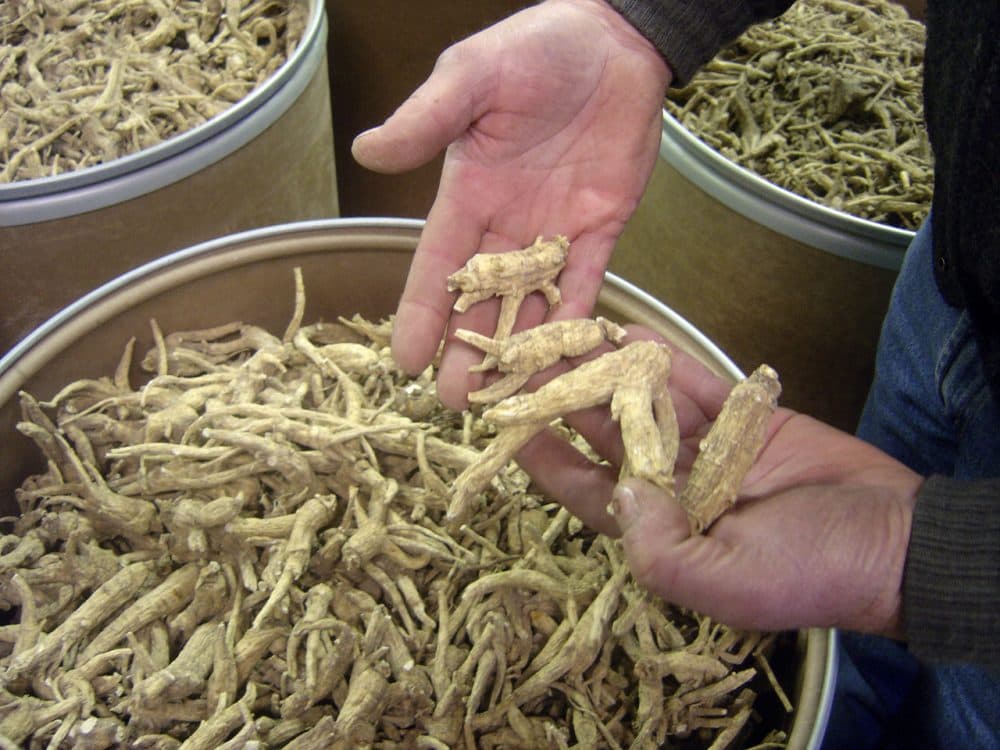 Wisconsin produces 90 percent of the nation's ginseng crop, most of which gets exported to China. Here, ginseng roots are seen at a ginseng-cleaning plant in Wausau, Wis. (Ramde Dinesh/AP)