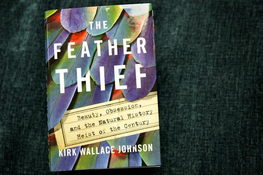 &quot;The Feather Thief,&quot; by Kirk Wallace Johnson. (Robin Lubbock/WBUR)
