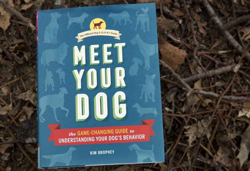 &quot;Meet Your Dog,&quot; by Kim Brophey. (Robin Lubbock/WBUR)