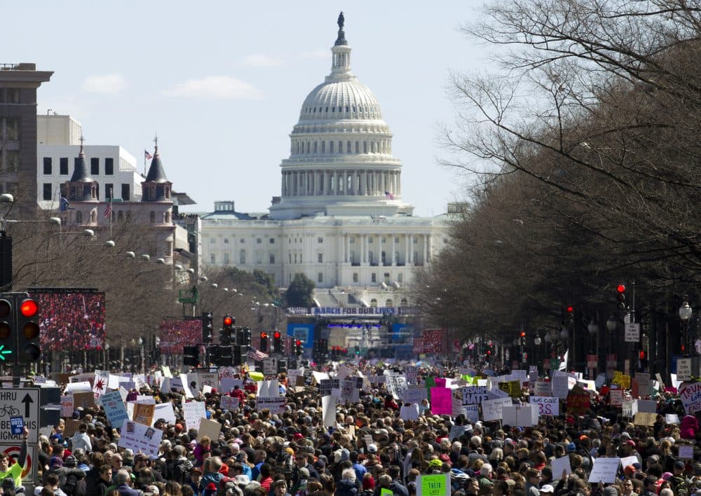 Protesters stand on Pennsylvania Avenue looking east toward the stage located near the Capitol during the &quot;March for Our Lives&quot; rally in Washington, Saturday, March 24, 2018. (Jose Luis Magana/AP)
