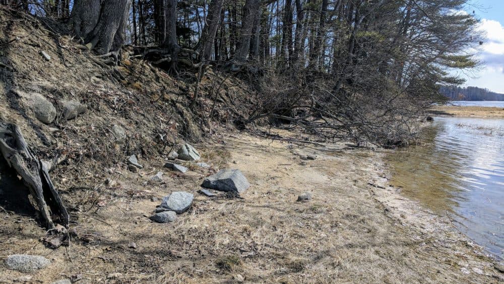 The large stones seen here were once the foundation of a garrison house that stood in the early 17th century near Great Bay in what is now Durham, N.H. (Jason Moon for NHPR)