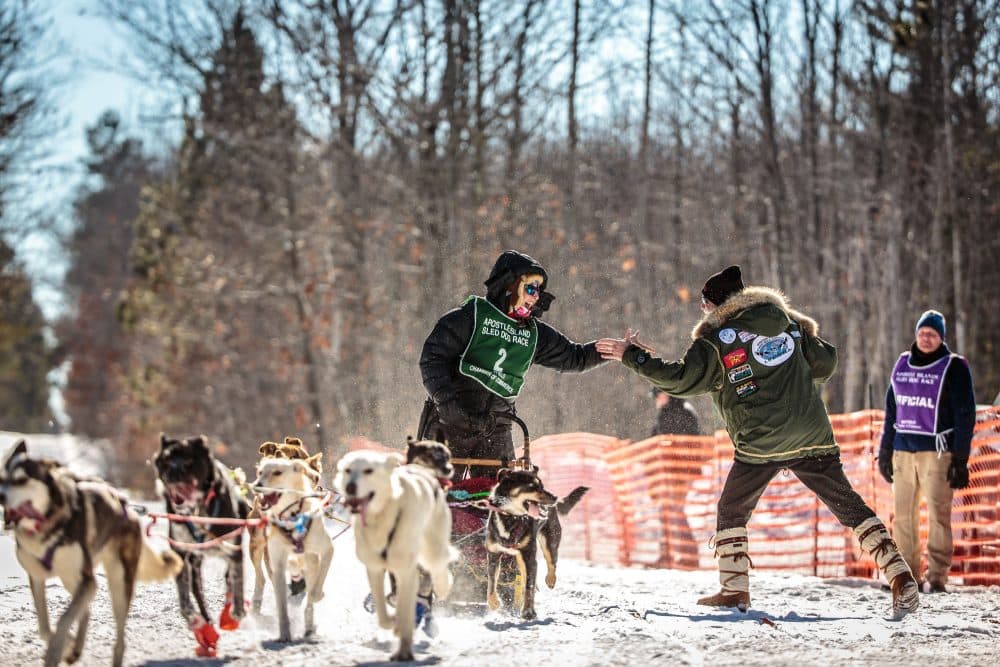 Blair Braverman loves sharing all of the great experiences she's had with her sled dogs. But this story was different. (James Netz)