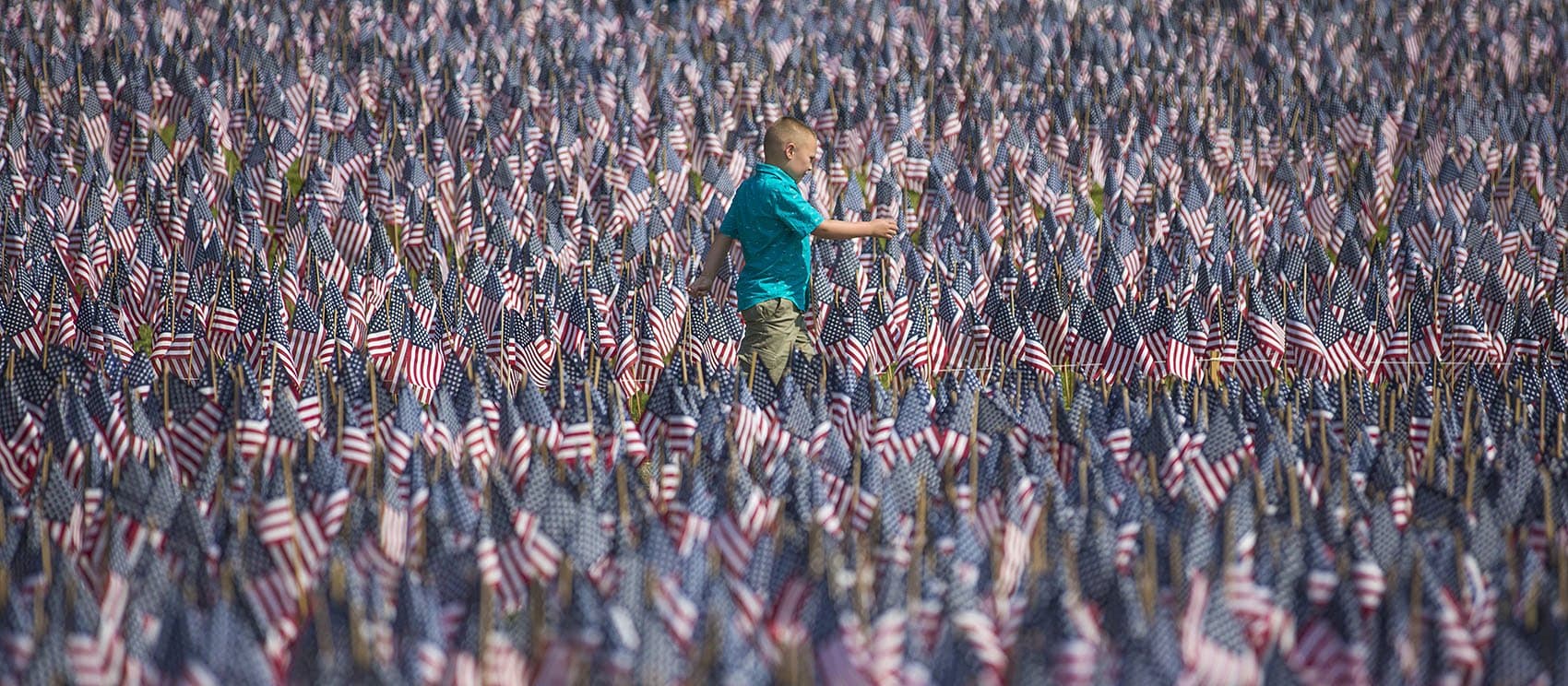 A young boy walks down the path through the annual Memorial Day flag garden on the Boston Common. (Jesse Costa/WBUR)