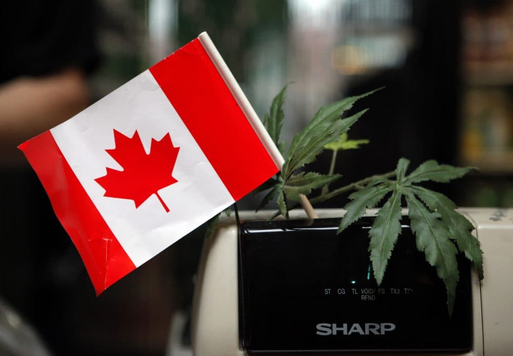A cash register adorned with a Canadian flag and imitation marijuana leaves at the BC Marijuana Party Headquarters in Vancouver, British Columbia. (Jae C. Hong/AP)