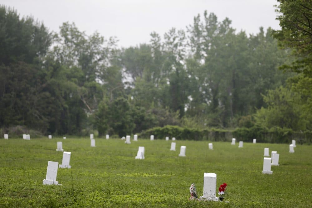 In this Wednesday, May 23, 2018 photo, white markers, each indicating a mass grave of about 150 people, are displayed on Hart Island in New York. (Seth Wenig/AP)