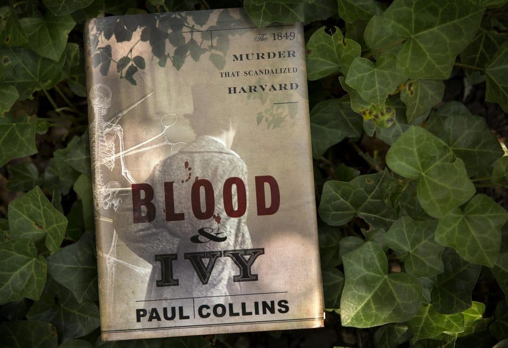 &quot;Blood & Ivy,&quot; by Paul Collins (Robin Lubbock/WBUR)