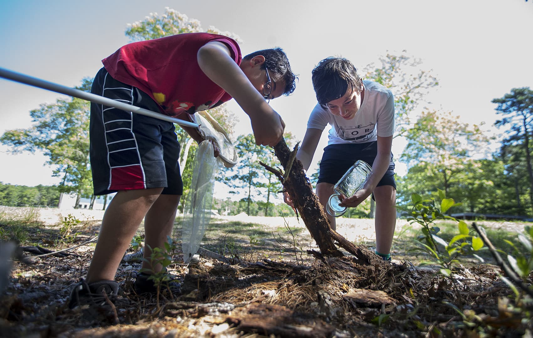Isaiah Peters, 11, and Angel Peters, 13, lift a branch out of the ground looking for bugs to collect at the Mashpee Wampanoag science camp program. (Jesse Costa/WBUR)