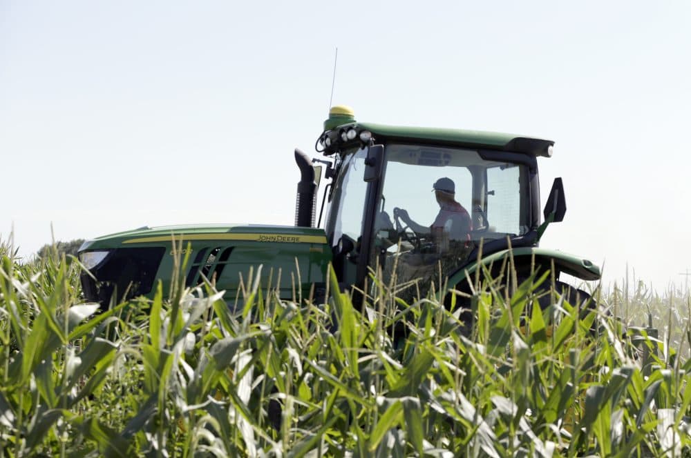 Farmer Tim Novotny of Wahoo, shreds male corn plants in a field of seed corn, in Wahoo, Neb., Tuesday, July 24, 2018. The Trump administration announced Tuesday it will provide $12 billion in emergency relief to ease the pain of American farmers slammed by President Donald Trump's escalating trade disputes with China and other countries. (Nati Harnik/AP)