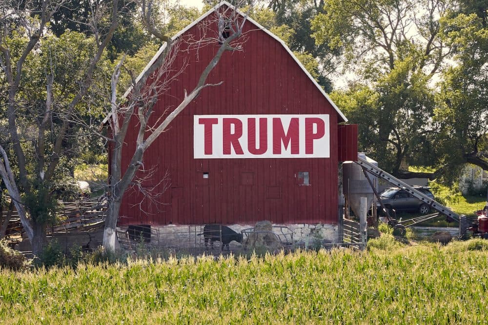 Corn grows in front of a barn carrying a large Trump sign in rural Ashland, Neb., Tuesday, July 24, 2018. The Trump administration announced Tuesday it will provide $12 billion in emergency relief to ease the pain of American farmers slammed by President Donald Trump's escalating trade disputes with China and other countries. (Nati Harnik/AP)